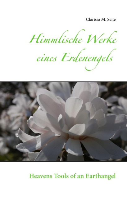 Himmlische Werke eines Erdenengels - Clarissa M. Seite