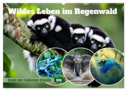 Cover-Bild zum Titel 'Wildes Leben im Regenwald (Wandkalender 2026 DIN A2 quer), CALVENDO Monatskalender' von 'Melanie Viola'