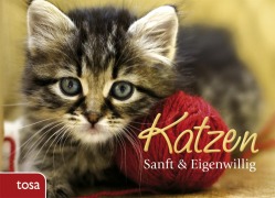 Cover-Bild zum Titel 'Katzen' von ''