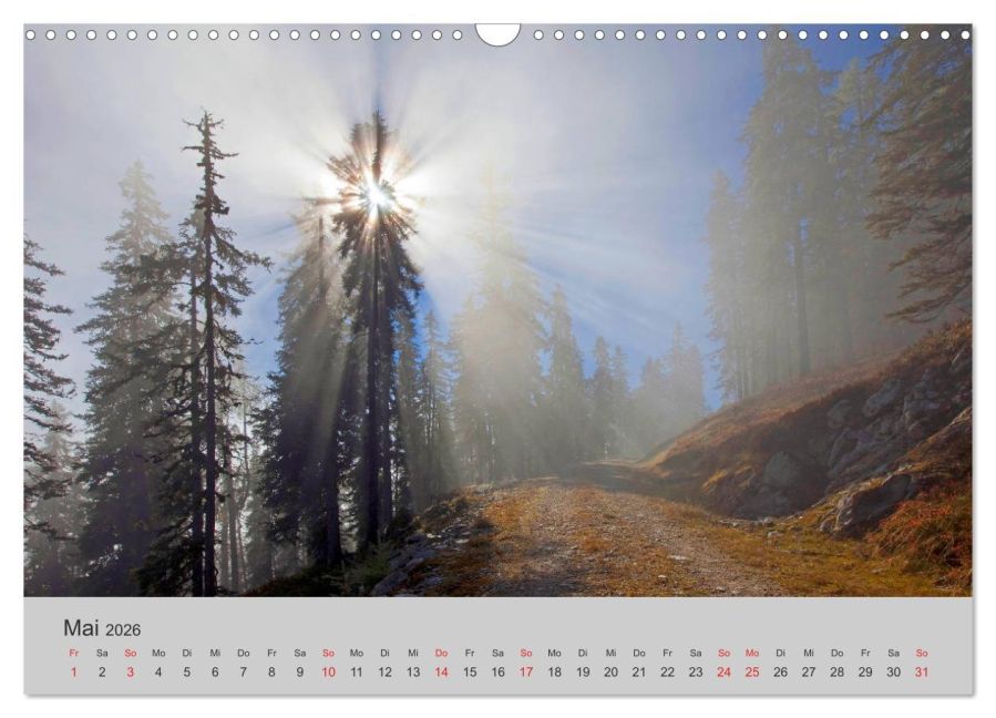 InsideView 10