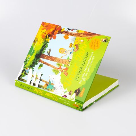 InsideView 2
