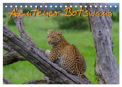 Cover-Bild zum Titel 'Abenteuer Botswana Afrika - Adventure Botswana (Tischkalender 2026 DIN A5 quer), CALVENDO Monatskalender' von 'Frank Struckmann'