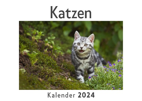 Katzen (Wandkalender 2024, Kalender DIN A4 quer, Monatskalender im Querformat mit Kalendarium, Das perfekte Geschenk) - Anna Müller