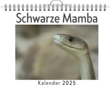 Cover-Bild zum Titel 'Schwarze Mamba' von 'Henry Braun'