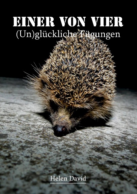 Einer von vier - Helen David