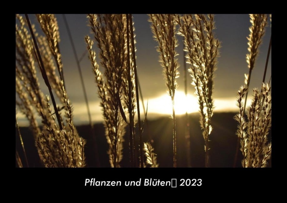 Pflanzen und Blüten 2023 Fotokalender DIN A3 - Tobias Becker