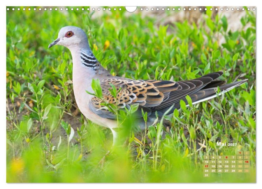 InsideView 10
