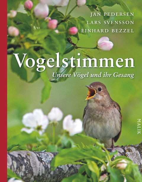 Vogelstimmen - Jan Pedersen, Lars Svensson, Einhard Bezzel