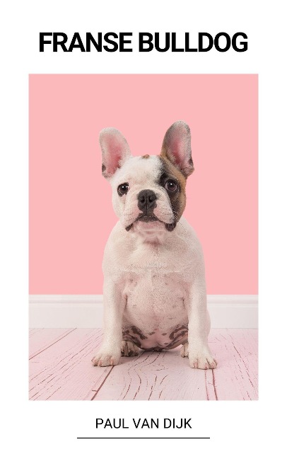 Franse Bulldog - Paul van Dijk