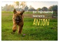 Ein Hundekind namens Anton (Wandkalender 2025 DIN A2 quer), CALVENDO Monatskalender - Christiane Calmbacher
