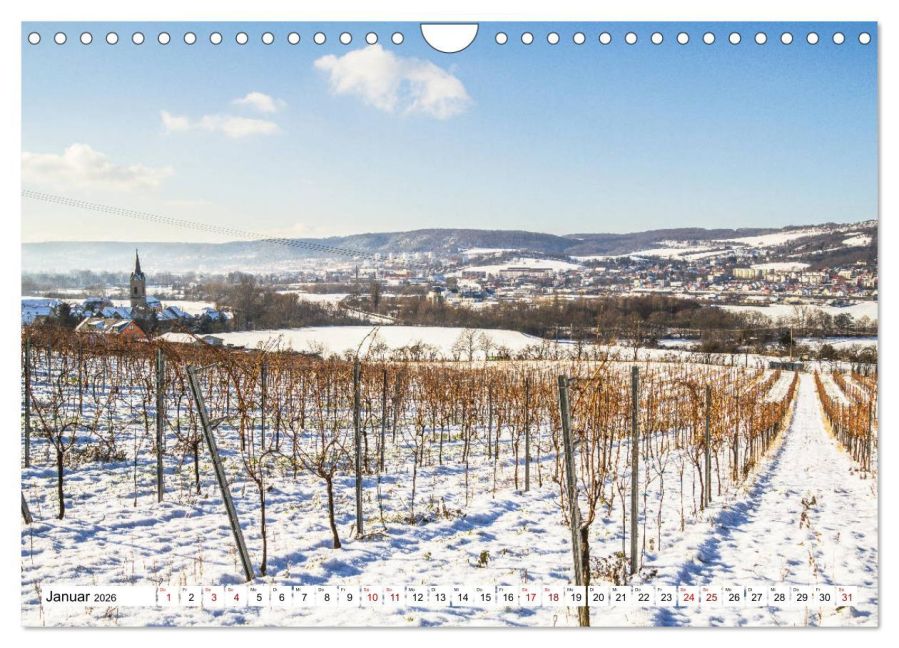 InsideView 6