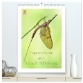 Impressionen aus Wald und Wiese (hochwertiger Premium Wandkalender 2025 DIN A2 hoch), Kunstdruck in Hochglanz - Rolf Schnepp