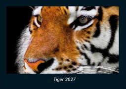 Cover-Bild zum Titel 'Tiger 2027 Fotokalender DIN A4' von 'Tobias Schmitt, Kevin Heber'