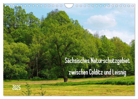 Sächsisches Naturschutzgebiet zwischen Colditz und Leisnig (Wandkalender 2025 DIN A4 quer), CALVENDO Monatskalender - Thilo Seidel