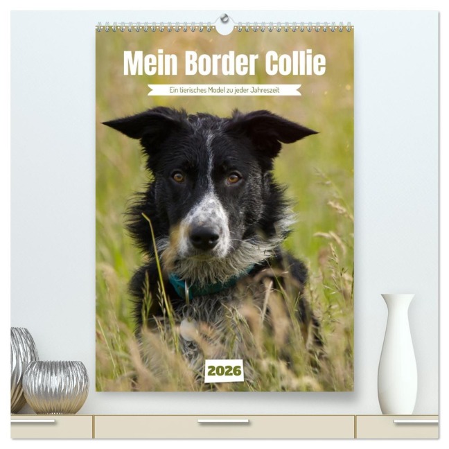 Mein Border Collie (hochwertiger Premium Wandkalender 2026 DIN A2 hoch), Kunstdruck in Hochglanz - Sabine Löwer