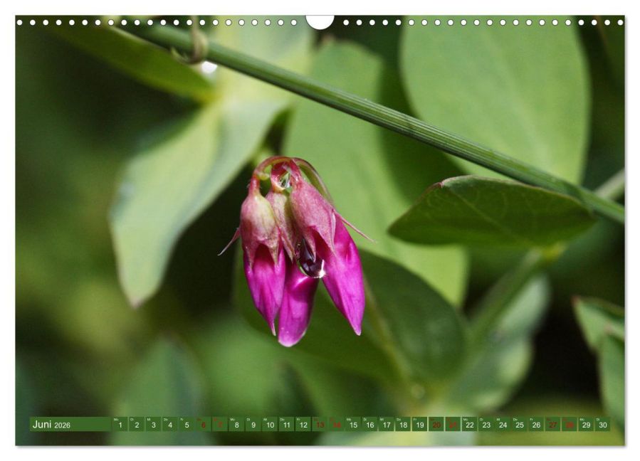 InsideView 11