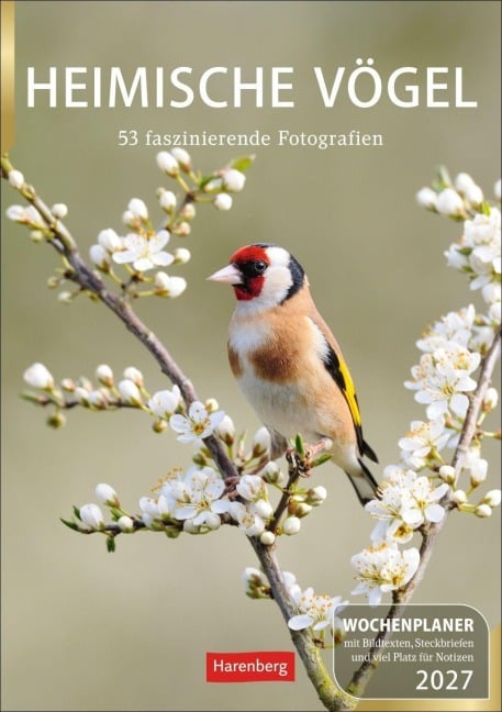 Heimische Vögel Wochenplaner 2027 - 53 faszinierende Fotografien - Markus Hattstein
