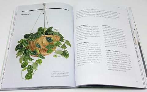 InsideView 10