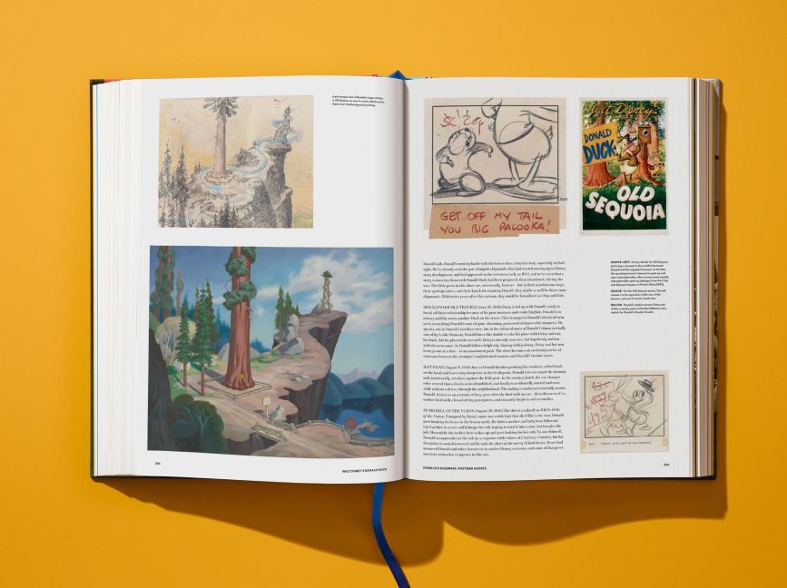 InsideView 17