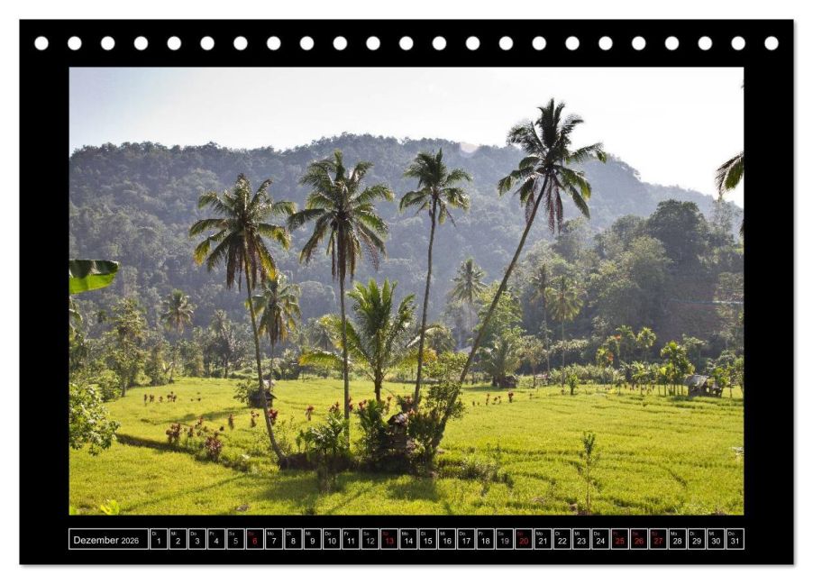 InsideView 4