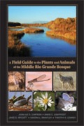 Cover-Bild zum Titel 'A Field Guide to the Plants and Animals of the Middle Rio Grande Bosque' von 'Jean-Luc E. Cartron, Timothy Lowrey, Jane E. Mygatt, Sandra L. Brantley'