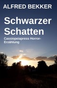 Cover-Bild zum Titel 'Schwarzer Schatten' von 'Alfred Bekker'
