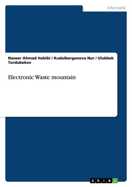 Electronic Waste mountain - Naseer Ahmad Habibi, Kudaibergenova Nur, Ulukbek ¿Urdubekov
