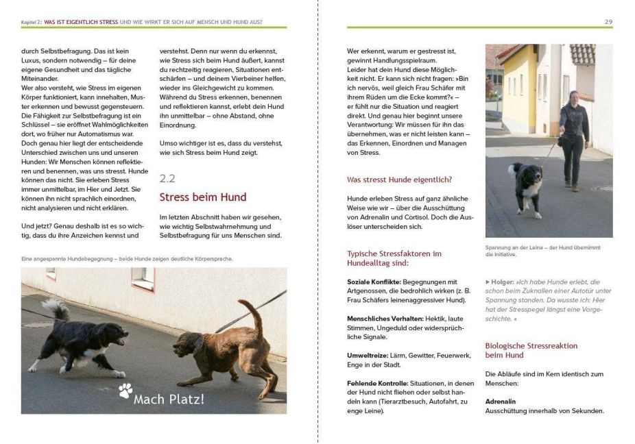 InsideView 7