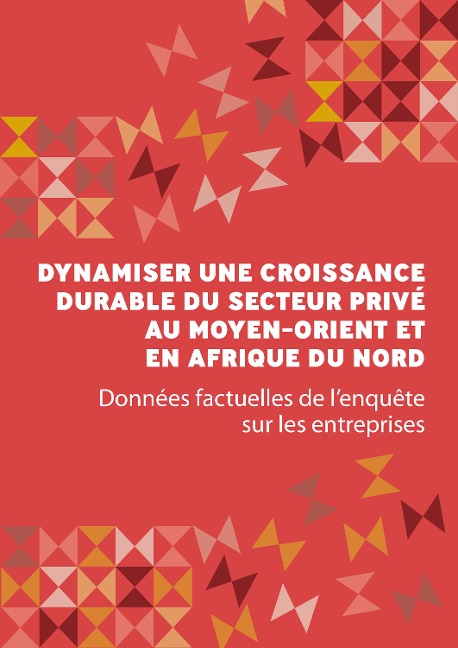 Dynamiser une croissance durable du secteur privé au Moyen-Orient et en Afrique du Nord - 