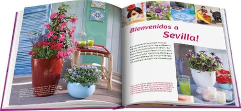 InsideView 3