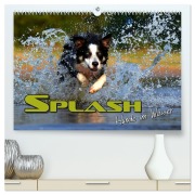 Cover-Bild zum Titel 'SPLASH - Hunde im Wasser (hochwertiger Premium Wandkalender 2026 DIN A2 quer), Kunstdruck in Hochglanz' von 'Renate Bleicher'