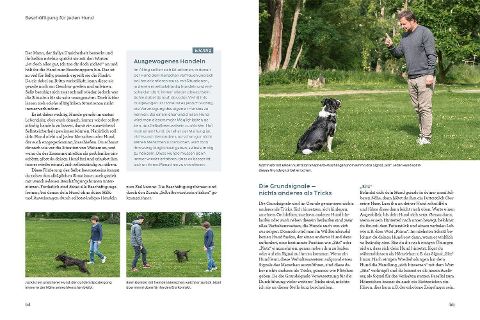InsideView 4