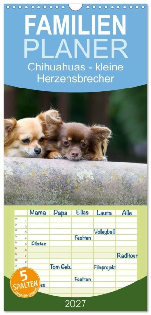 Familienplaner 2027 - Chihuahuas - kleine Herzensbrecher mit 5 Spalten (Wandkalender, 21 x 45 cm) CALVENDO - Verena Scholze