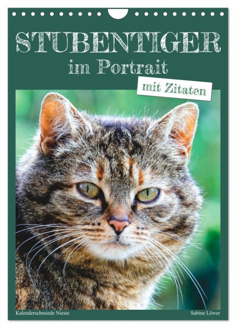 Stubentiger im Portrait (Wandkalender 2026 DIN A4 hoch), CALVENDO Monatskalender - Sabine Löwer