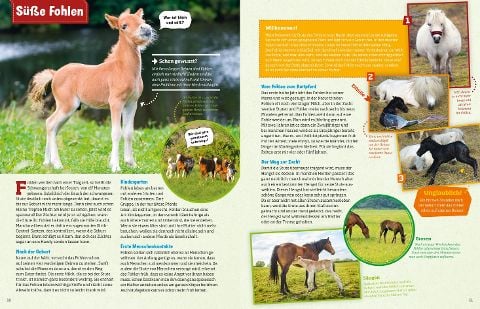 InsideView 3