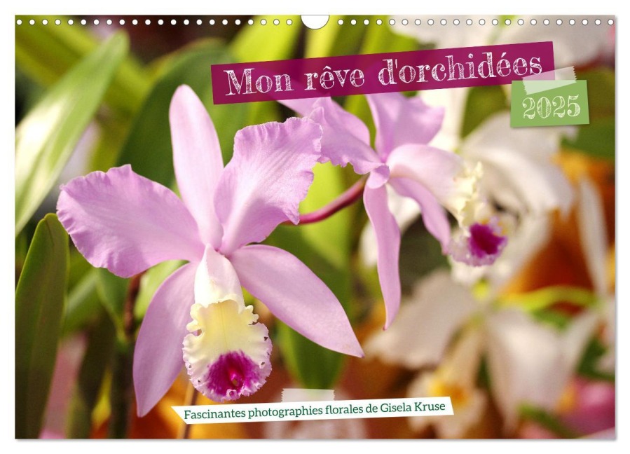 Mon rêve d'orchidées (Calendrier mural 2025 DIN A3 vertical), CALVENDO calendrier mensuel - Gisela Kruse