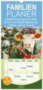 Cover-Bild zum Titel 'Familienplaner 2027 - Haute Kuh-ture für das Rind von Welt! Modische Kühe voll im Trend mit 5 Spalten (Wandkalender, 21 x 45 cm) CALVENDO' von 'Rose Hurley'
