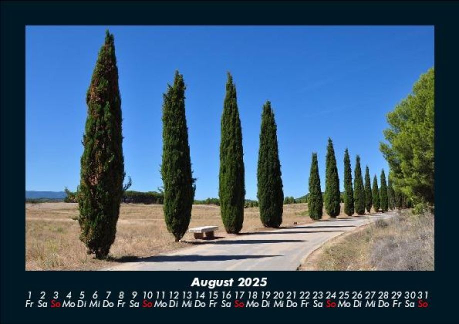 InsideView 12
