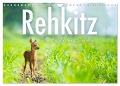 Rehkitz - Flinke kleine Bambis. (Wandkalender 2024 DIN A4 quer), CALVENDO Monatskalender - Sf Sf