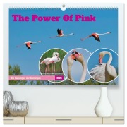 Cover-Bild zum Titel 'The Power Of Pink (hochwertiger Premium Wandkalender 2026 DIN A2 quer), Kunstdruck in Hochglanz' von 'Andreas Freund'