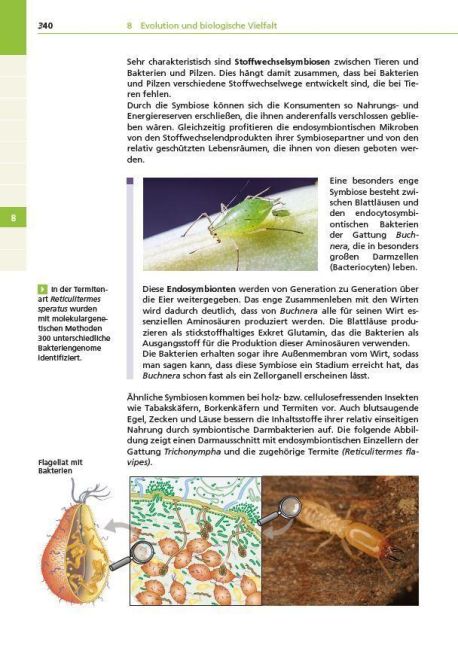 InsideView 4