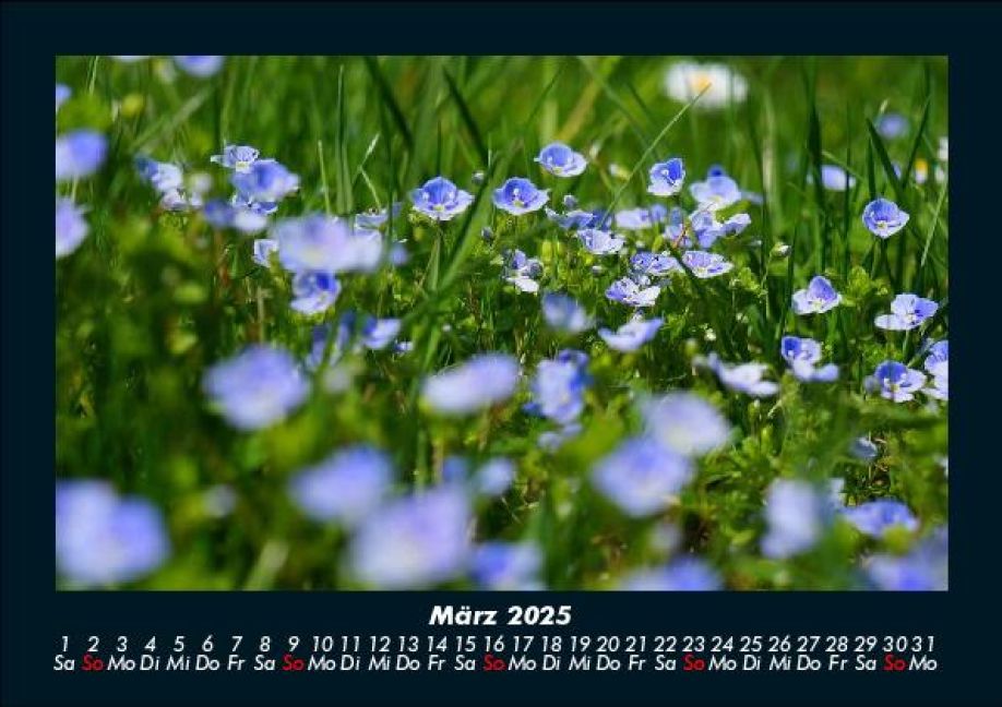 InsideView 7