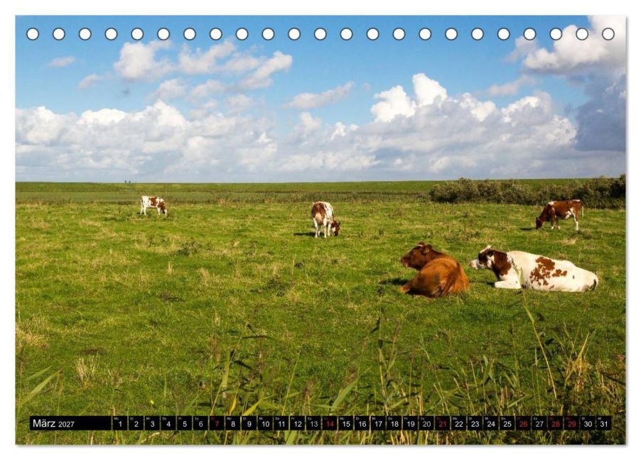InsideView 8
