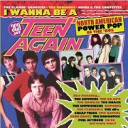 Cover-Bild zum Titel 'I Wanna Be A Teen Again-American Power Pop 1980-89' von 'Various'