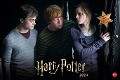 Harry Potter Broschur XL 2024. Wandkalender mit fesselnden Filmszenen aus den Harry Potter-Filmen. Broschürenkalender 2024 mit Poster zum Heraustrennen. - 