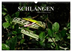 Cover-Bild zum Titel 'Schlangen (Wandkalender 2026 DIN A3 quer), CALVENDO Monatskalender' von 'Benny Trapp'