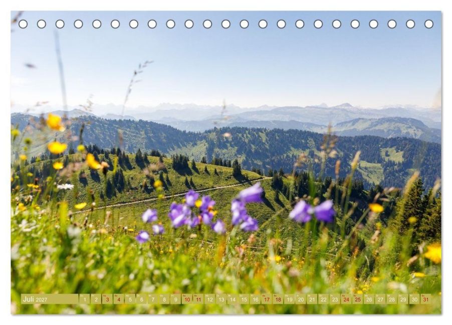 InsideView 12