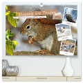 Tierwelt der Tundra (hochwertiger Premium Wandkalender 2024 DIN A2 quer), Kunstdruck in Hochglanz - Claudia Kleemann