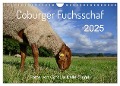 Coburger Fuchsschaf (Wandkalender 2025 DIN A4 quer), CALVENDO Monatskalender - Cordula Kelle-Dingel