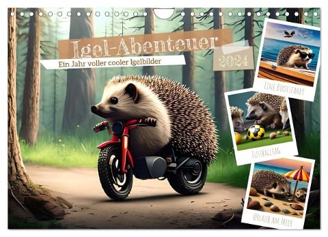 Igel-Abenteuer (Wandkalender 2024 DIN A4 quer), CALVENDO Monatskalender - Ursula Di Chito